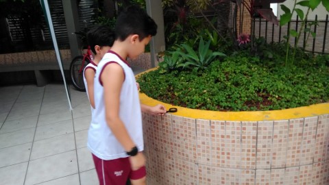 1151-img20190508wa0014.jpg 1151-img20190508wa0014.jpg