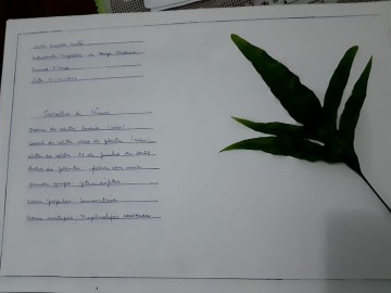 1612-2037863954378153143264361505875466896645168n.jpg 1612-2037863954378153143264361505875466896645168n.jpg