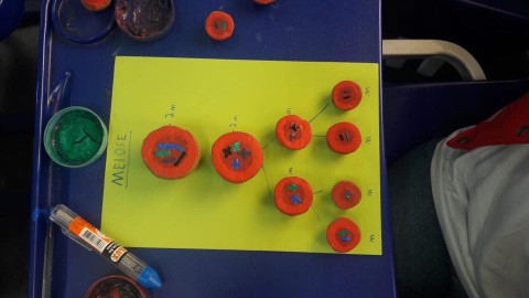 1681-414712161866153266799266311133216243187712n.jpg 1681-414712161866153266799266311133216243187712n.jpg