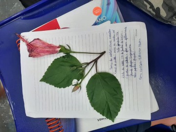 2072-2037706724378158809930462403320151935360494n.jpg 2072-2037706724378158809930462403320151935360494n.jpg