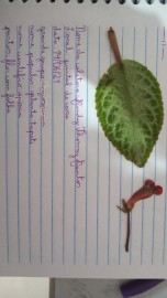 3604-2040185474378165509929796145668587330646036n.jpg 3604-2040185474378165509929796145668587330646036n.jpg