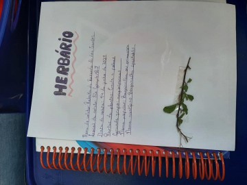 3614-2040333564378155943264083489754534947902550n.jpg 3614-2040333564378155943264083489754534947902550n.jpg