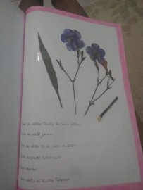 3728-2029190544378166909929656923454055490814751n.jpg 3728-2029190544378166909929656923454055490814751n.jpg