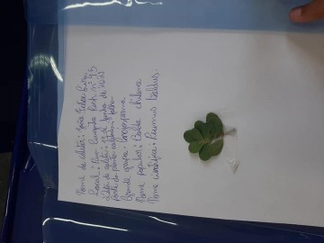 4228-2041470904378156409930704491719475524537514n.jpg 4228-2041470904378156409930704491719475524537514n.jpg