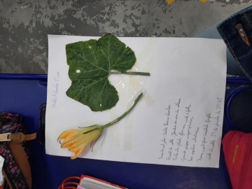 5176-1990931084378158443263835893214983542474700n.jpg 5176-1990931084378158443263835893214983542474700n.jpg