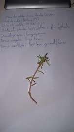 5382-2038652374378166309929713581313519271054329n.jpg 5382-2038652374378166309929713581313519271054329n.jpg