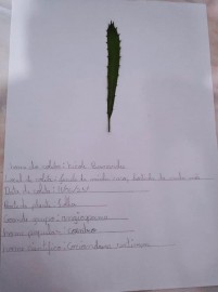 6128-203713880437816170993017195400714122815672n.jpg 6128-203713880437816170993017195400714122815672n.jpg