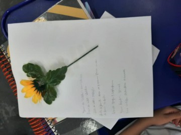 6898-2040458644378157643263915445832609735944481n.jpg 6898-2040458644378157643263915445832609735944481n.jpg