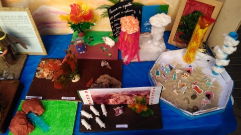 7431-img-20190701-wa0009.jpg 7431-img-20190701-wa0009.jpg