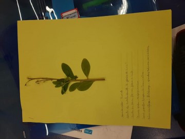 7899-2038652674378159376597075627764012004273153n.jpg 7899-2038652674378159376597075627764012004273153n.jpg