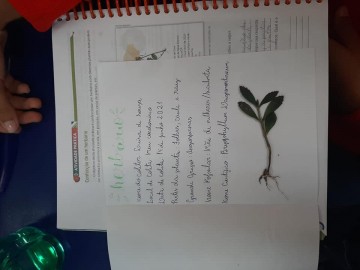 8152-2039053834378155309930818104541962425907957n.jpg 8152-2039053834378155309930818104541962425907957n.jpg